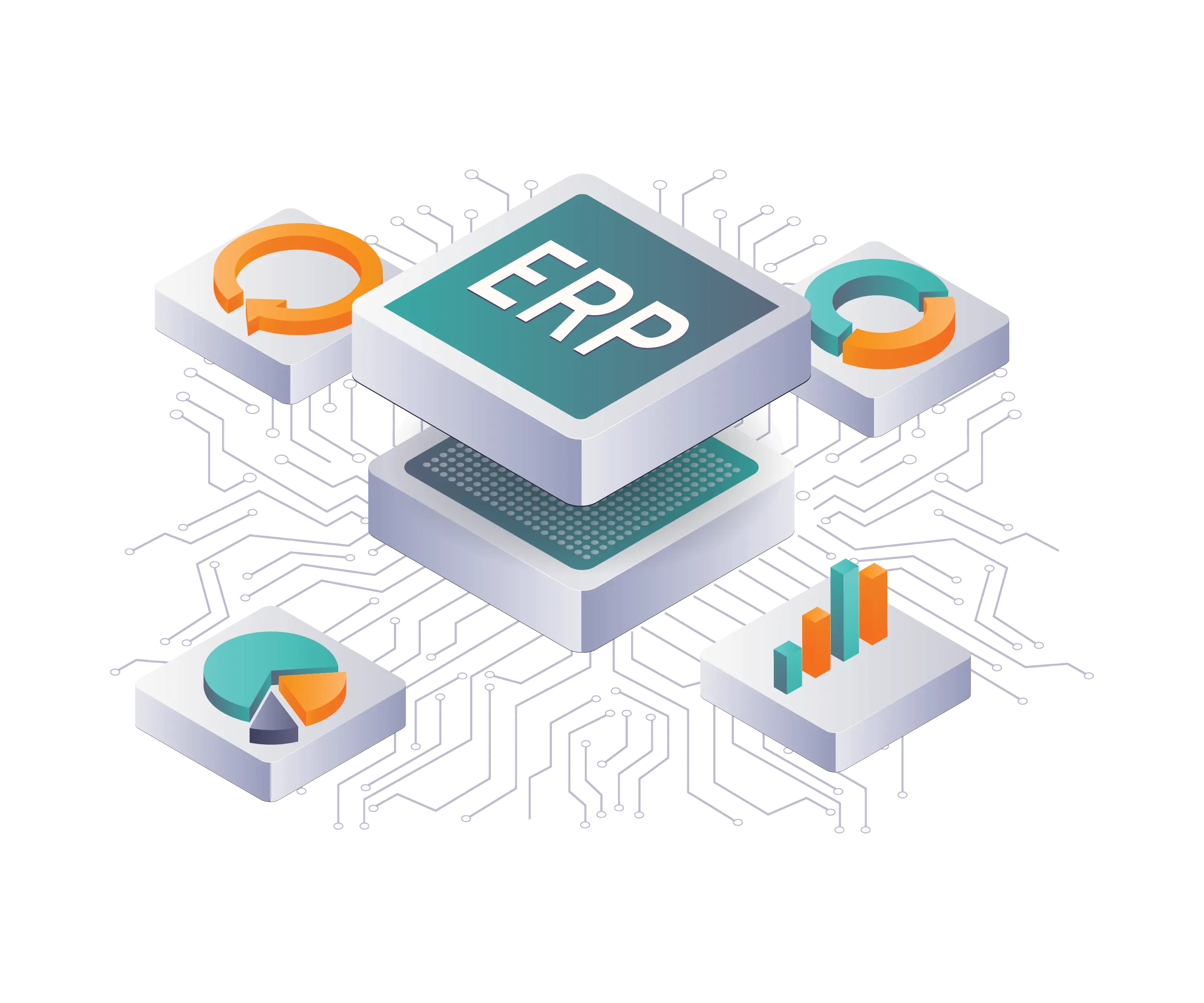 Software-ERP-banner-section