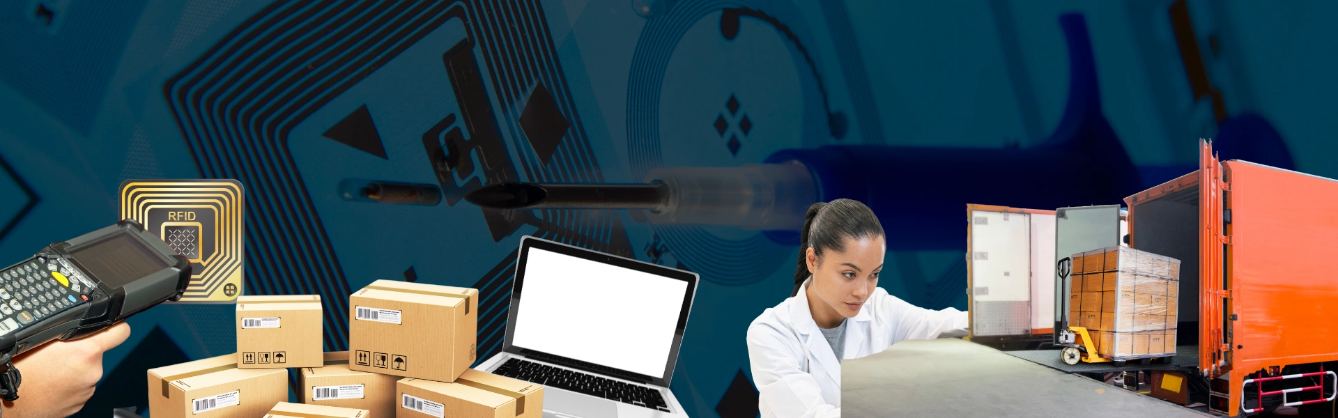 Best Asset Management Software