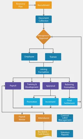 HRM Software Chart